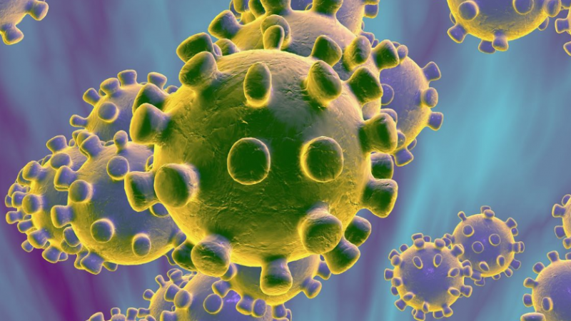  Vjen lajmi i jashtëzakonshëm: Shkencëtarët e kanë zbuluar se si sistemi imunitar i njeriut e lufton koronavirusin