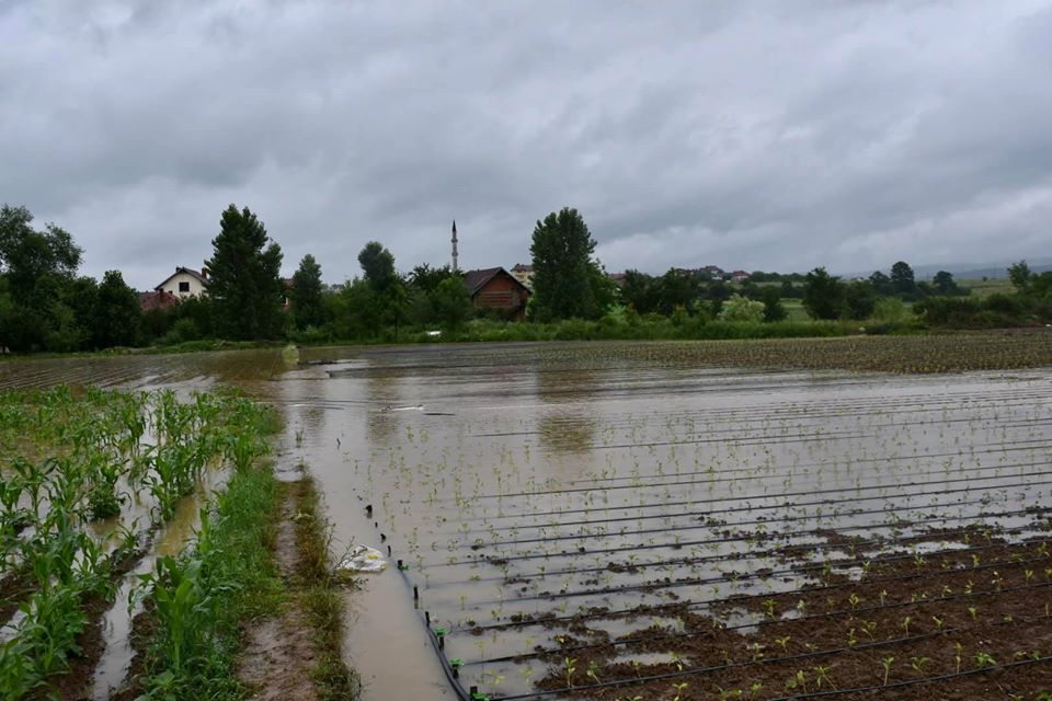  Vërshimet shkaktojnë dëme të mëdha në bujqësi dhe ekonomi familjare në Podujevë