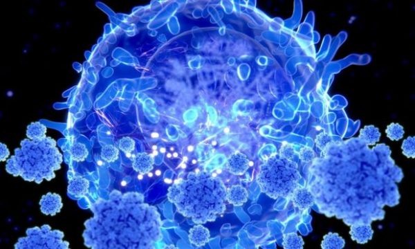  Koronavirusi: Shkencëtarët zbulojnë se mund të fillojë valë e dëmtimeve në tru si pasojë e COVID-19