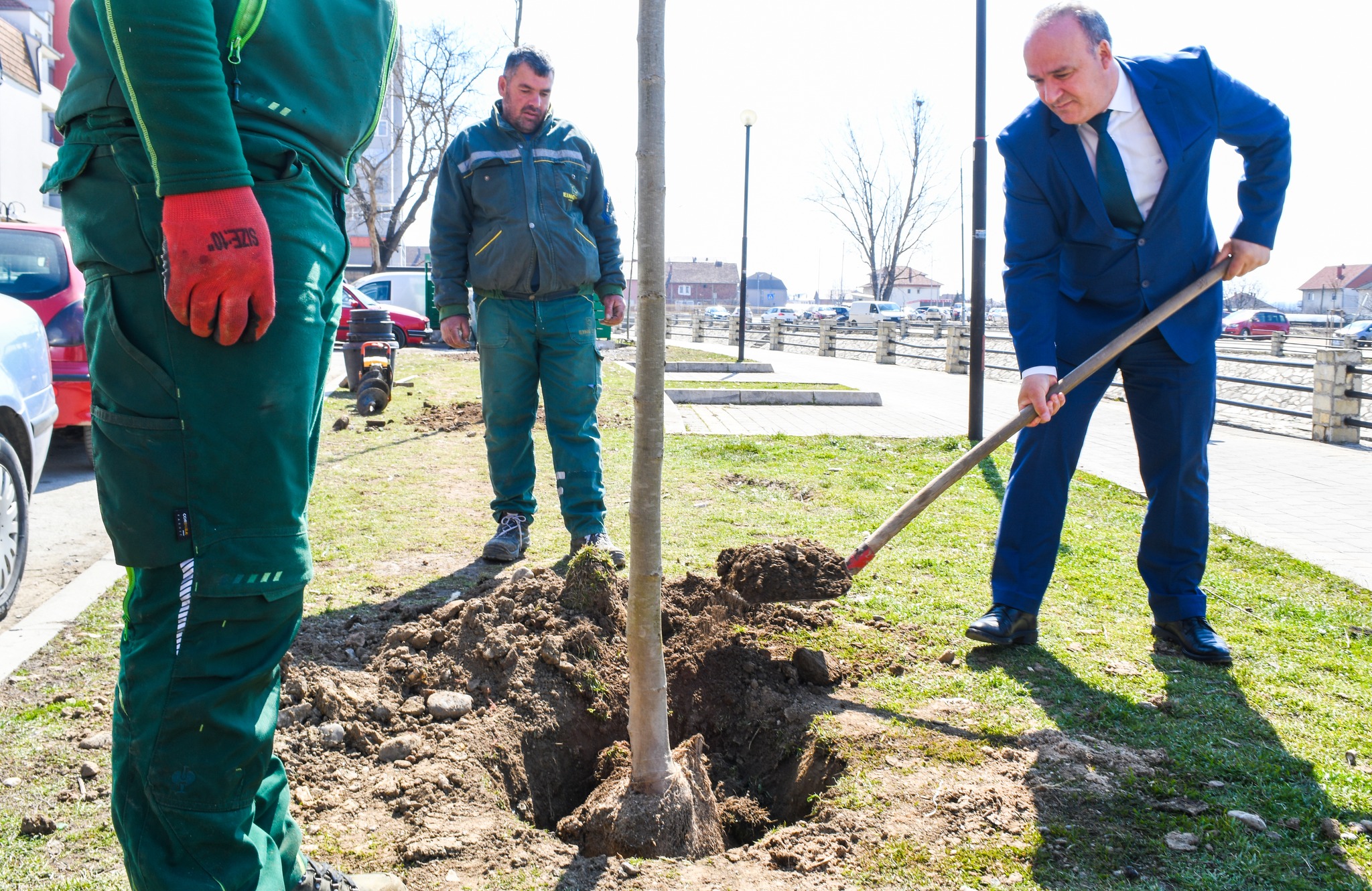  Mbjellen drunj në Ditën e Pranverës në Podujevë