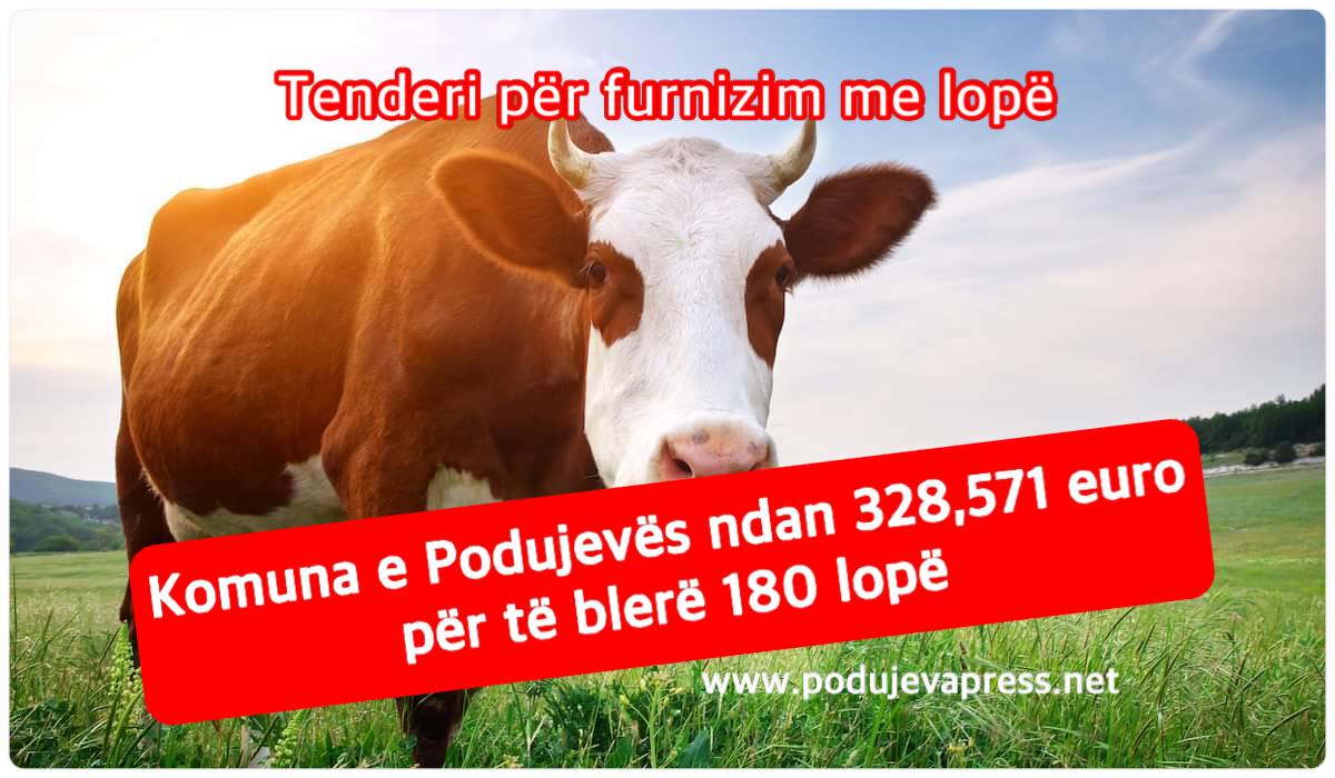 Komuna e Podujevës ndan mbi 328 mijë euro për të furnizuar fermerët me 180 mëshqerra