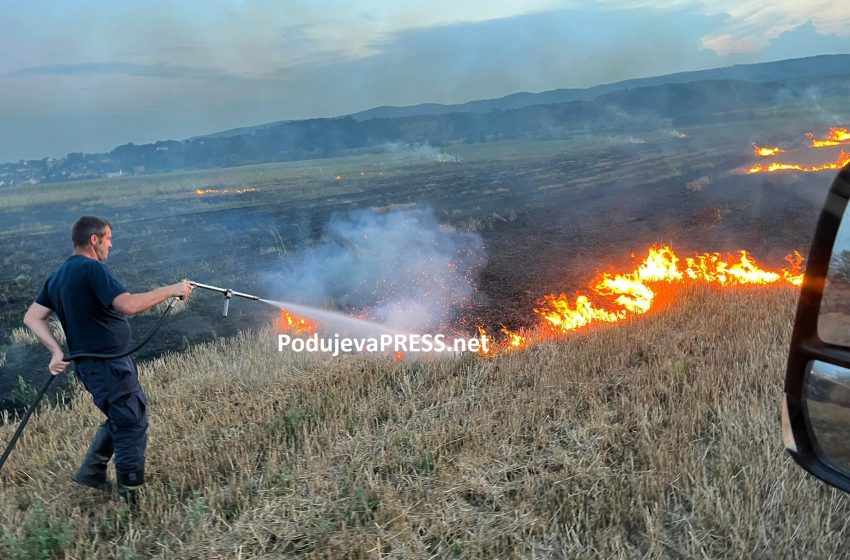  Zjarrfikësit në Podujevë, në luftë me zjarret |PAMJE