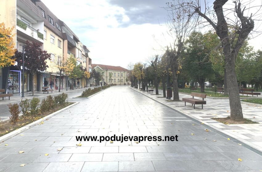 Policia në Podujevë: Gjendja e përgjithshme e sigurisë është stabile dhe e menaxhushme
