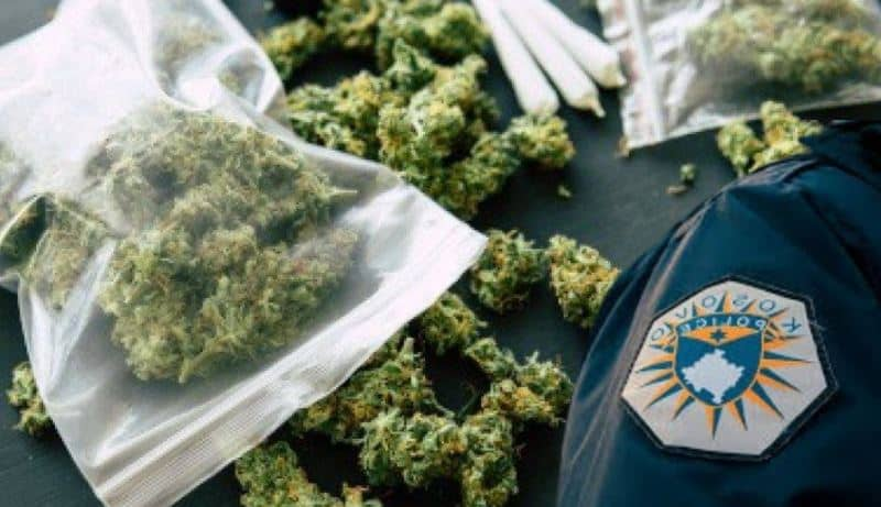  Kapen mbi 1 kg marihuanë në Prishtinë, arrestohen dy persona