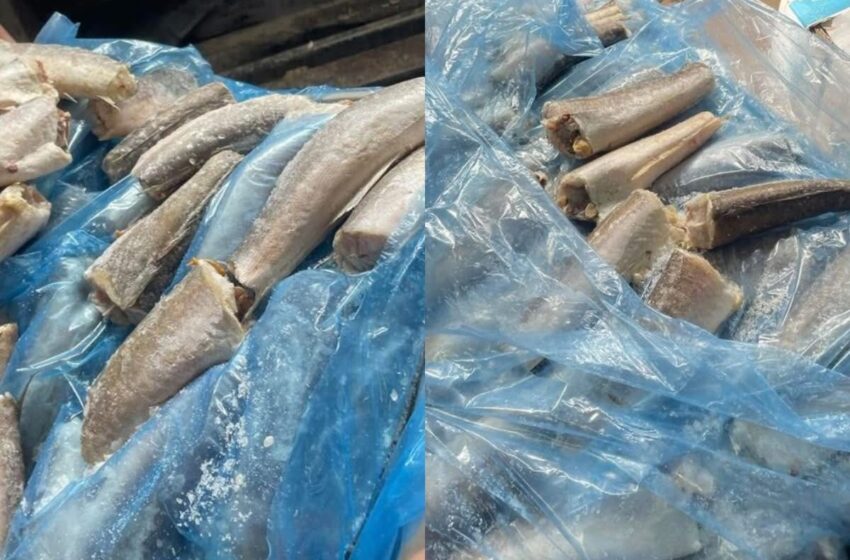  AUV e pranon se ka krimba në peshqi, por thotë se kur gatuhen mbi 60 gradë celsius largohet rreziku