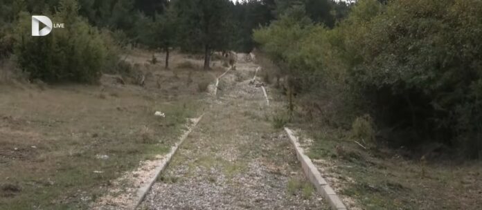  Shtigjet e trotuaret në parqet e Podujevës të dëmtuara ose të lëna në gjysmë