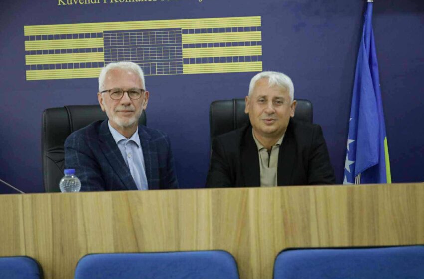  Dy asamblistët më aktivë në Kuvendin Komunal Naim Çunaku (LDK) dhe Haki Rudari (VV)