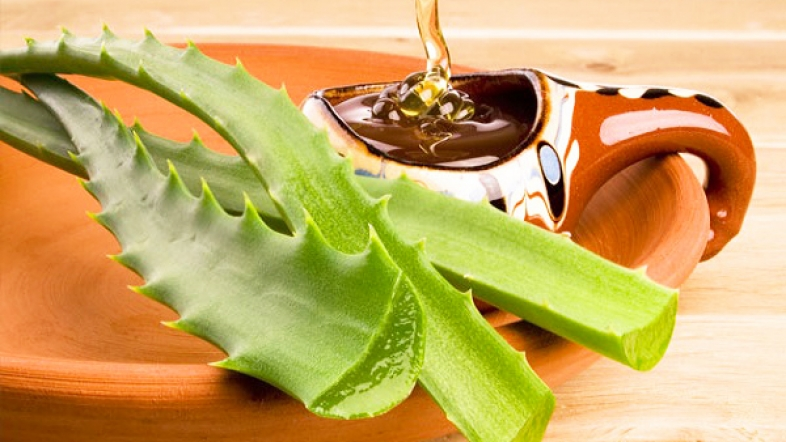  Fuqitë shëruese të mjaltit dhe aloe verës